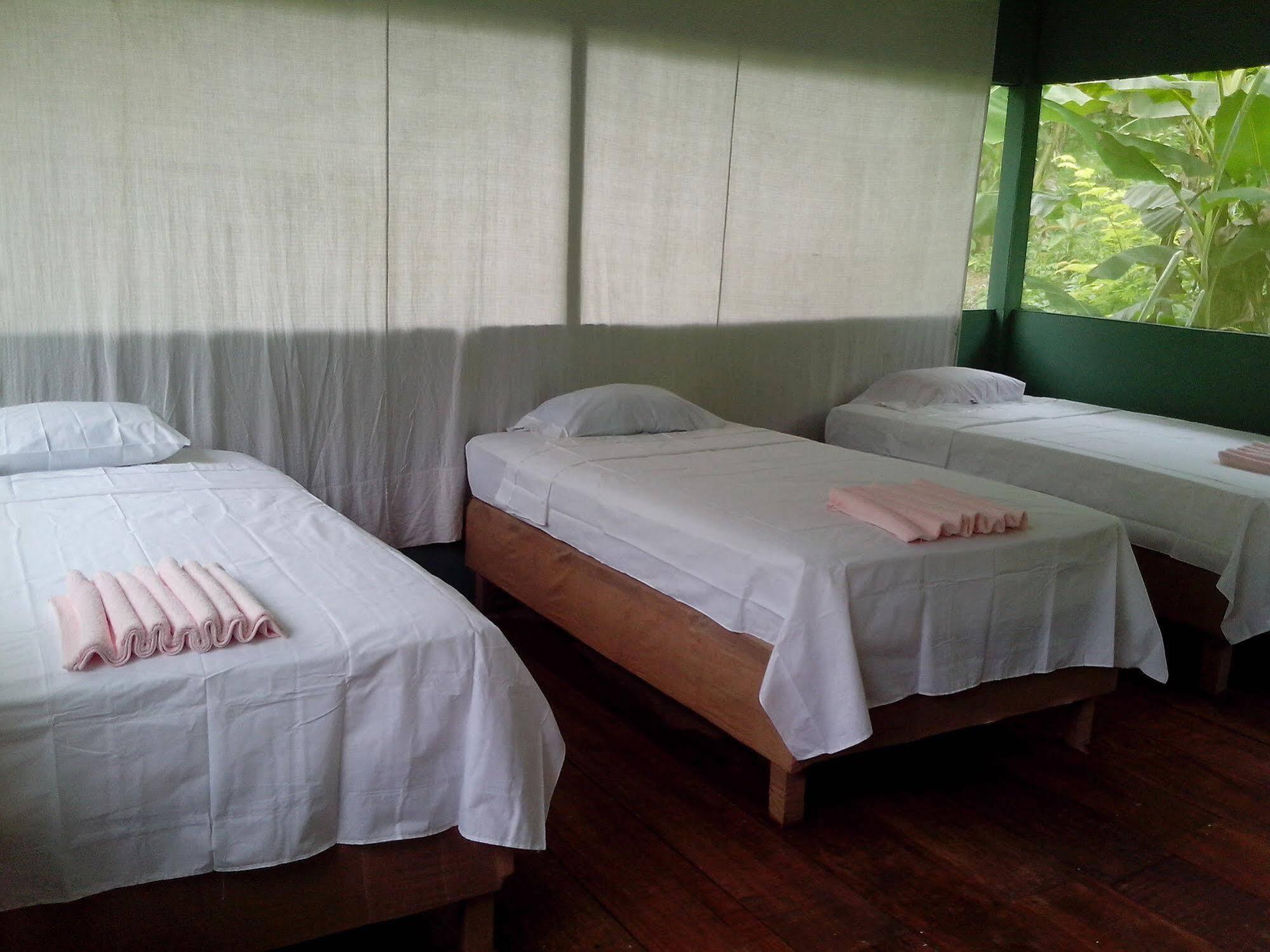 Amazon Queen Lodge Mazán Extérieur photo