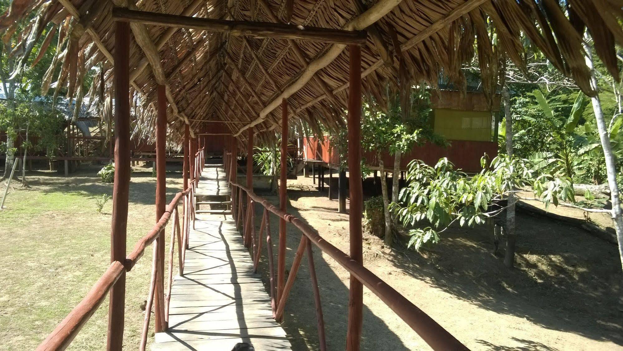 Amazon Queen Lodge Mazán Extérieur photo